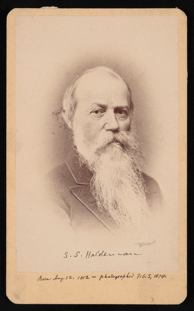 Portret Samuela Stehmana Haldemana 1812-1880, 5 lutego 1874. autorstwa FA Wenderoth and Co