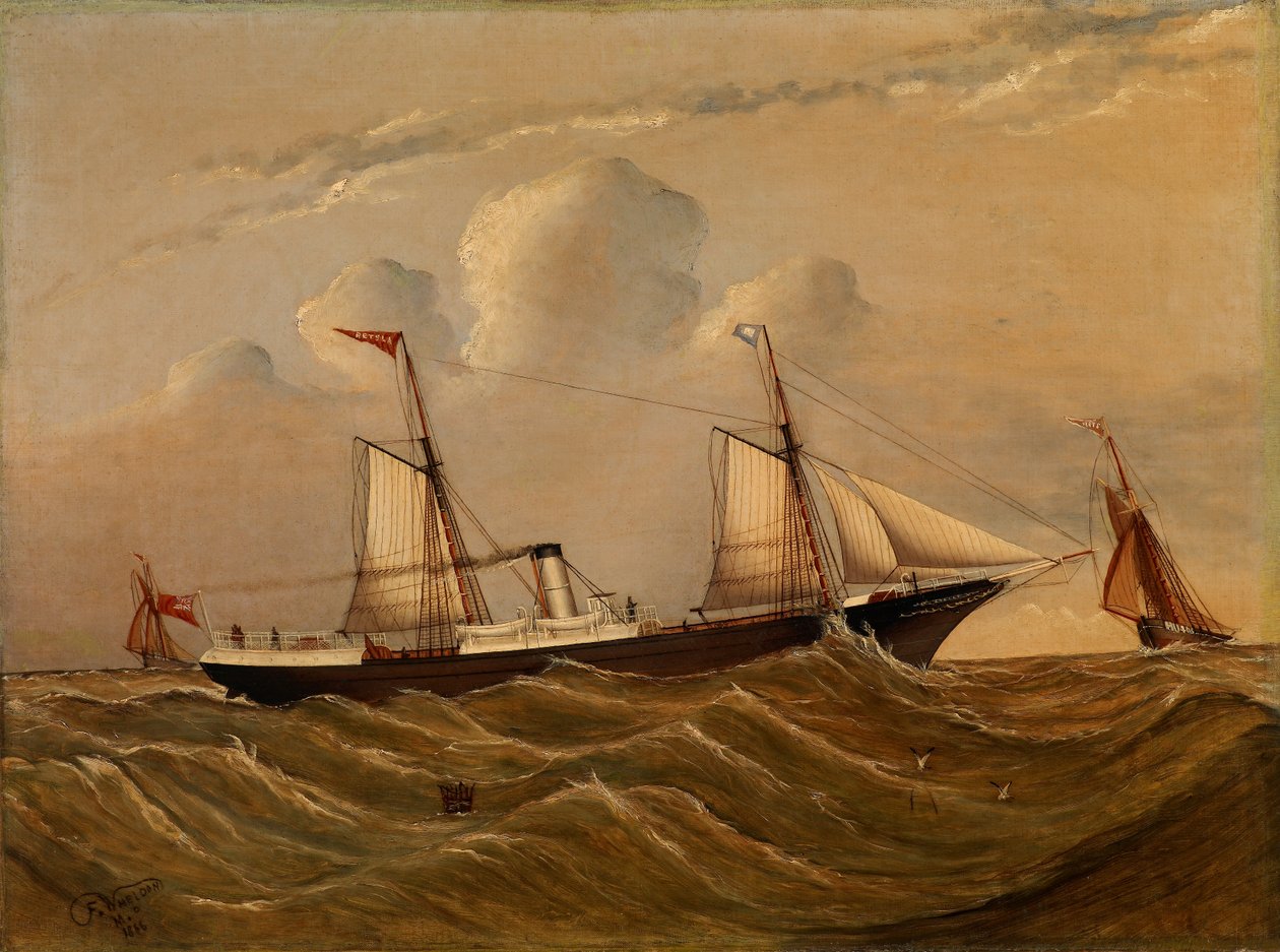 Steamer Alster autorstwa F.M.P. Wheldon