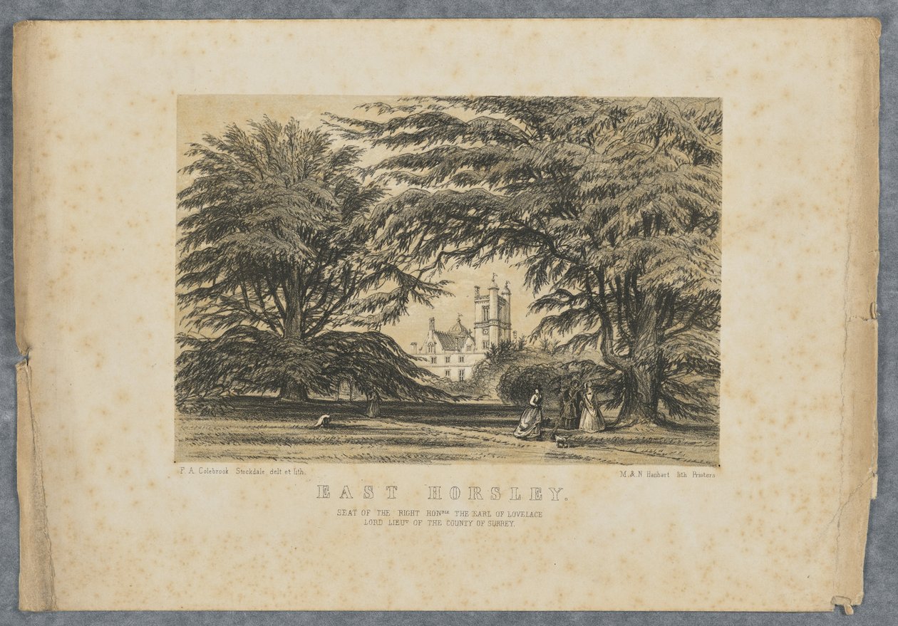 East Horsley autorstwa F. A. Colebrook