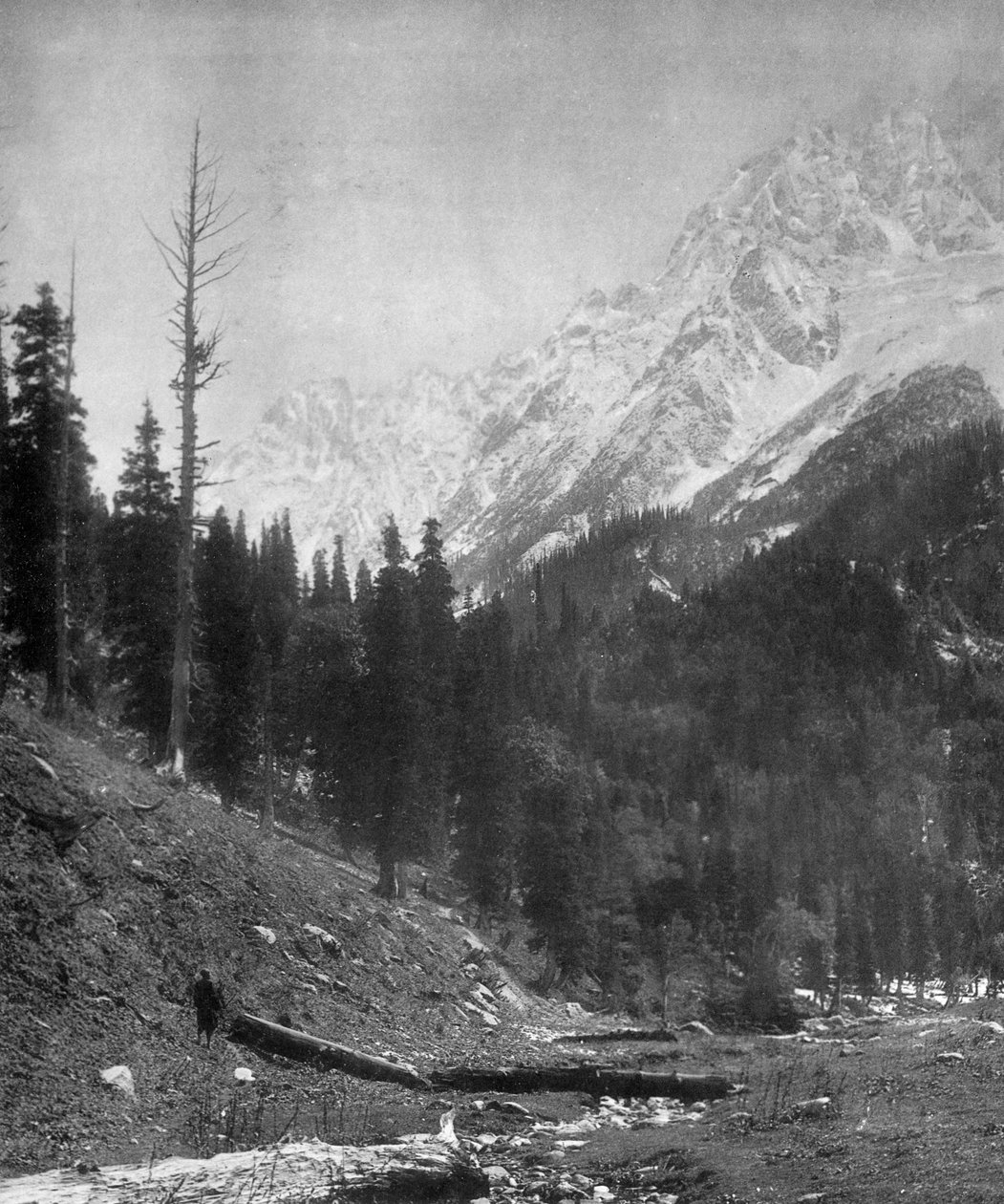 Lodowce Sindh Valley, Kaszmir, Indie, początek XX wieku autorstwa F. Bremner