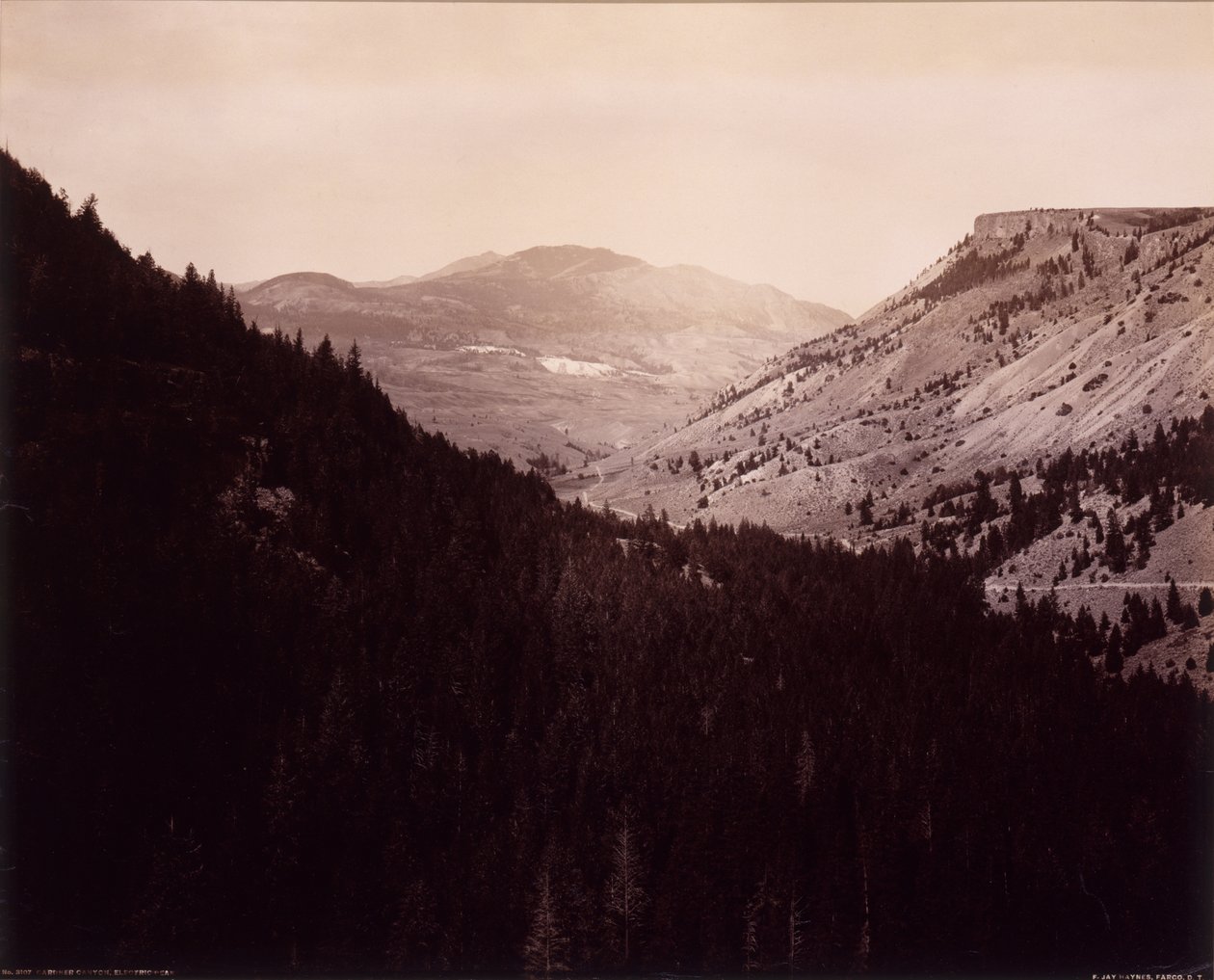 Gardner Canyon, Electric Peak autorstwa F. Jay Haynes