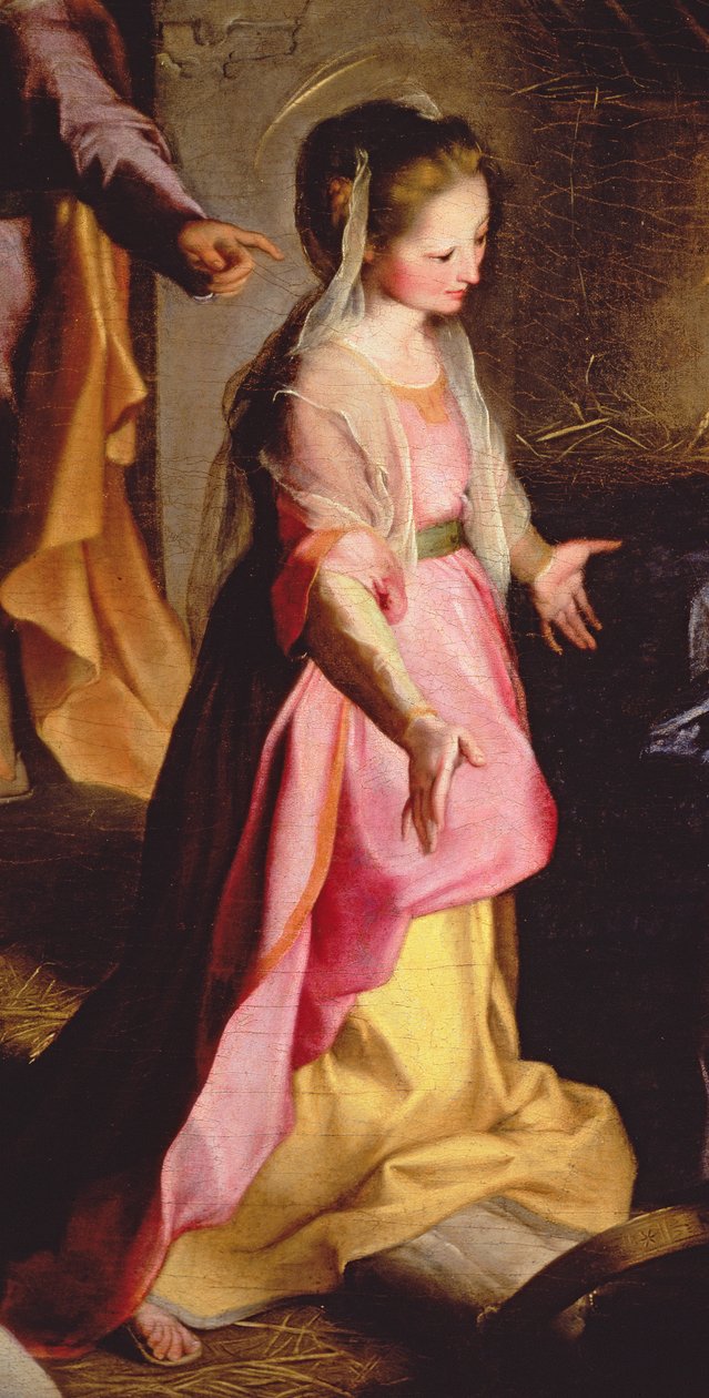 Adoracja Dzieciątka, 1597 (detal z 38616) autorstwa Federico Barocci