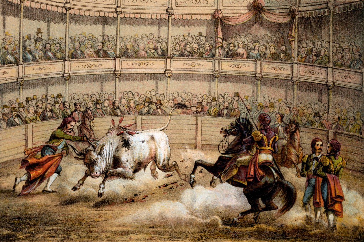 Walka byków, 1840 autorstwa Federico Mialhe
