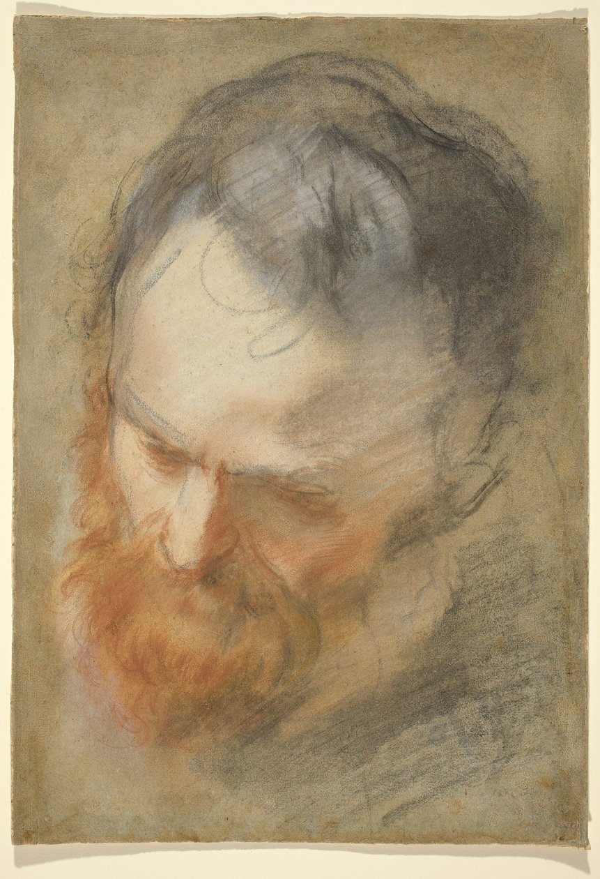 Głowa brodatego mężczyzny autorstwa Federico Barocci