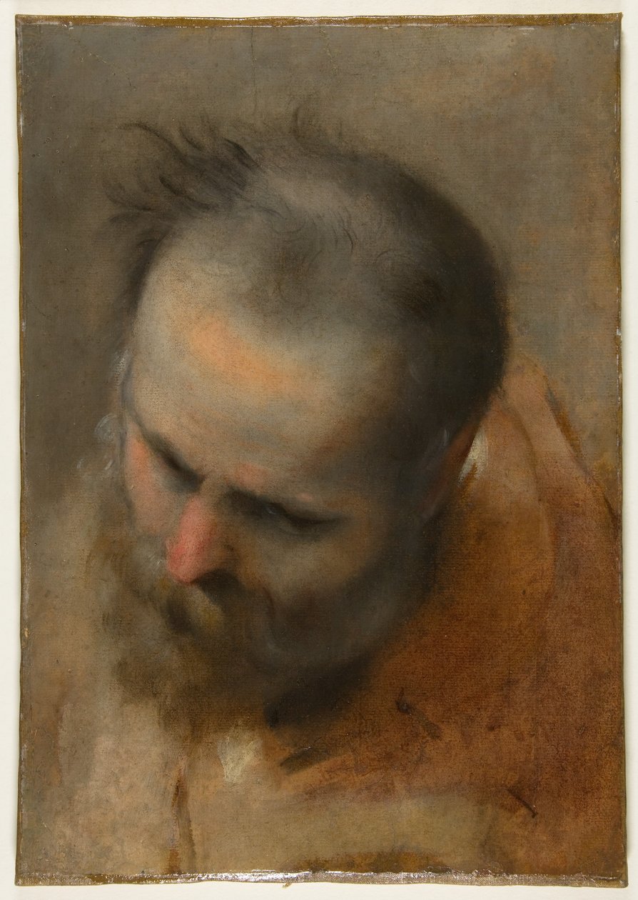 Głowa brodatego mężczyzny spoglądającego w lewą dolną stronę (Nikodem) autorstwa Federico Barocci