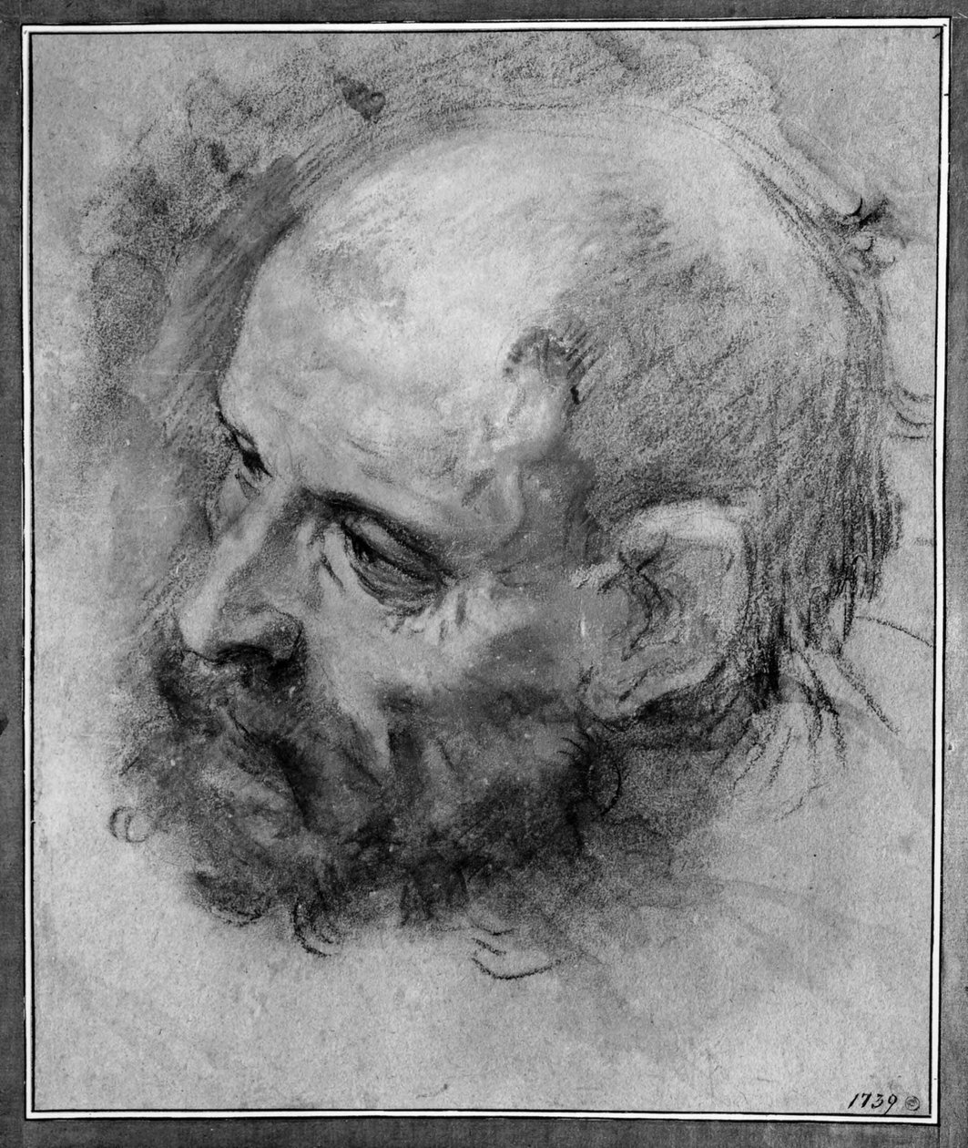 Studium głowy brodatego mężczyzny zwróconego w lewo i przechylonego na bok autorstwa Federico Barocci