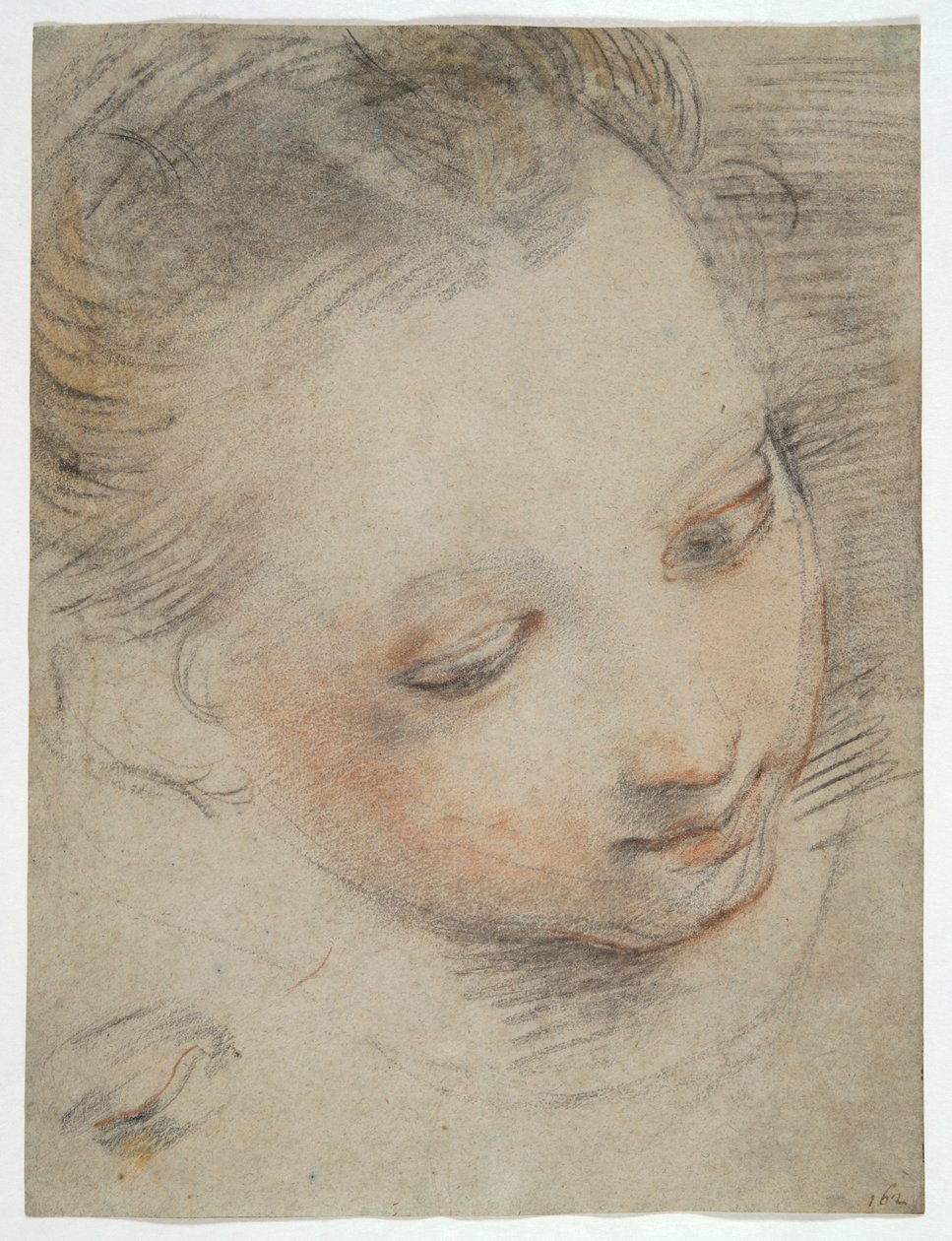 Głowa dziewczyny, studium dla postaci w ołtarzu Madonna del Popolo w Uffizi autorstwa Federico Barocci