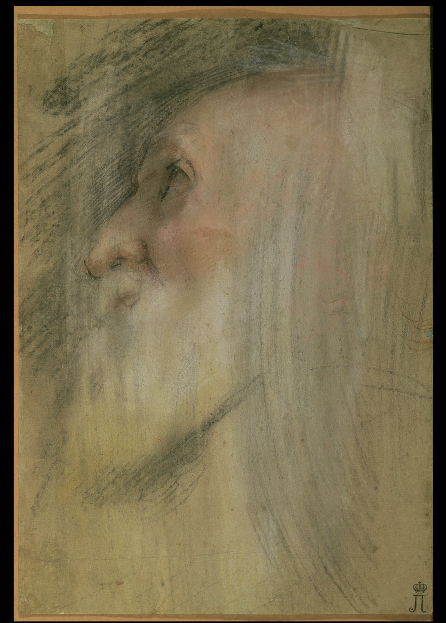 Głowa starego człowieka z profilu, ok. 1575-9 (pastel, czarna kreda i sangwina) autorstwa Federico Barocci