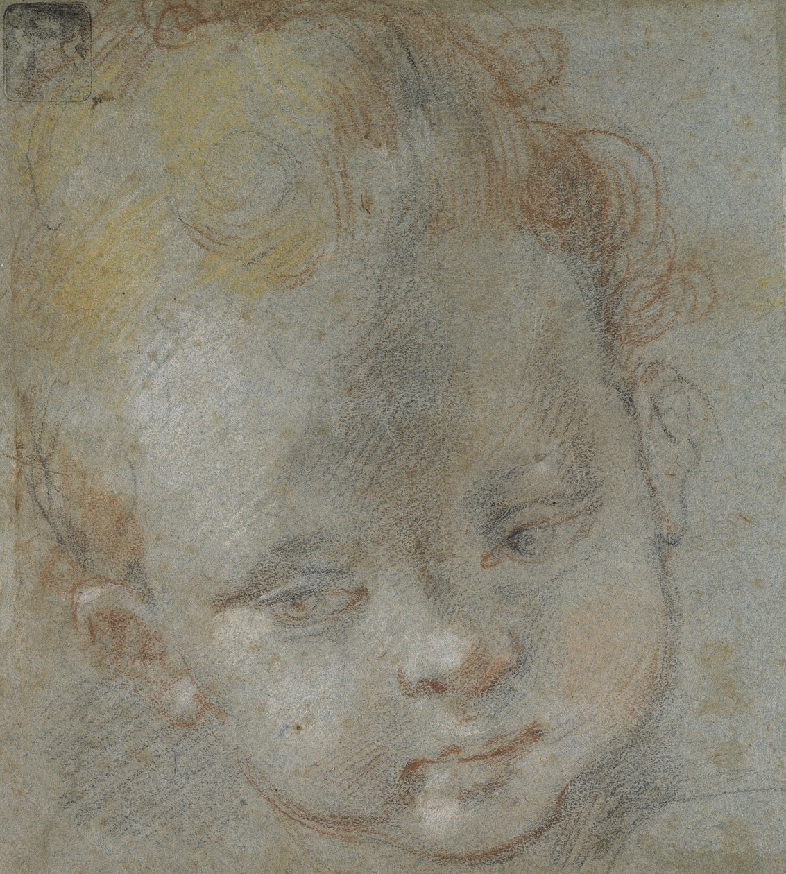 Recto: Głowa Dziecka (czarne, czerwone, białe, różowe i żółte kredki na niebiesko-szarym papierze) autorstwa Federico Barocci