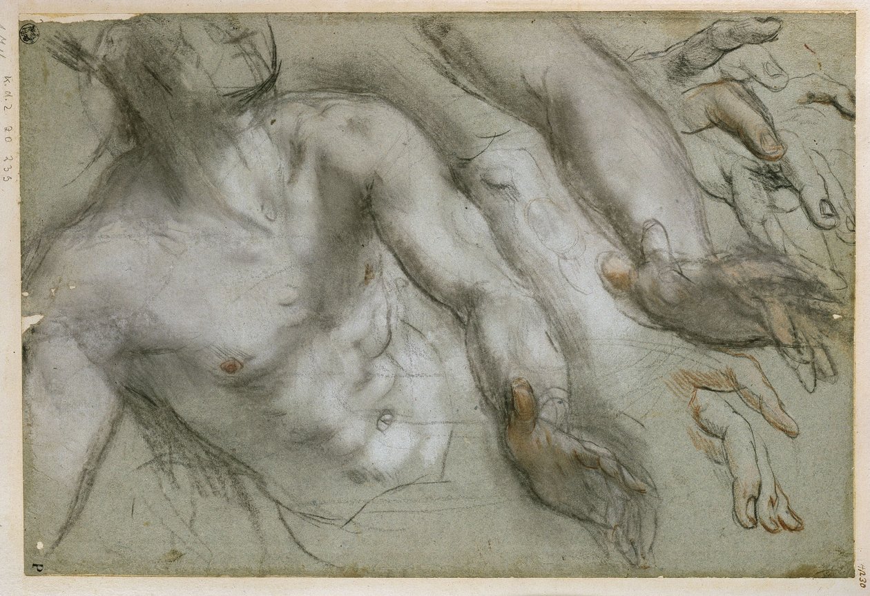 Studium postaci świętego do obrazu „Męczeństwo św. Witalisa” autorstwa Federico Barocci