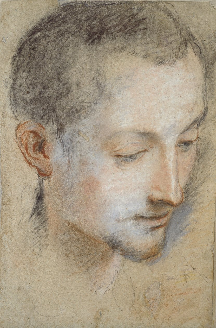 Studium głowy młodego mężczyzny, koniec XVI wieku autorstwa Federico Barocci