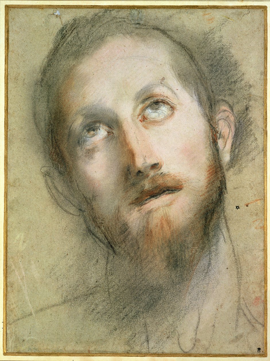 Studium dla Głowy Chrystusa (czarna kreda) autorstwa Federico Fiori Barocci or Baroccio