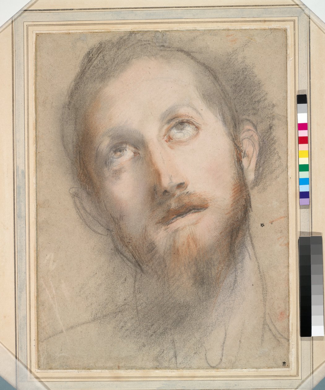 Studium Głowy Chrystusa (kolorowe kredy i pastel na papierze) autorstwa Federico Fiori Barocci or Baroccio