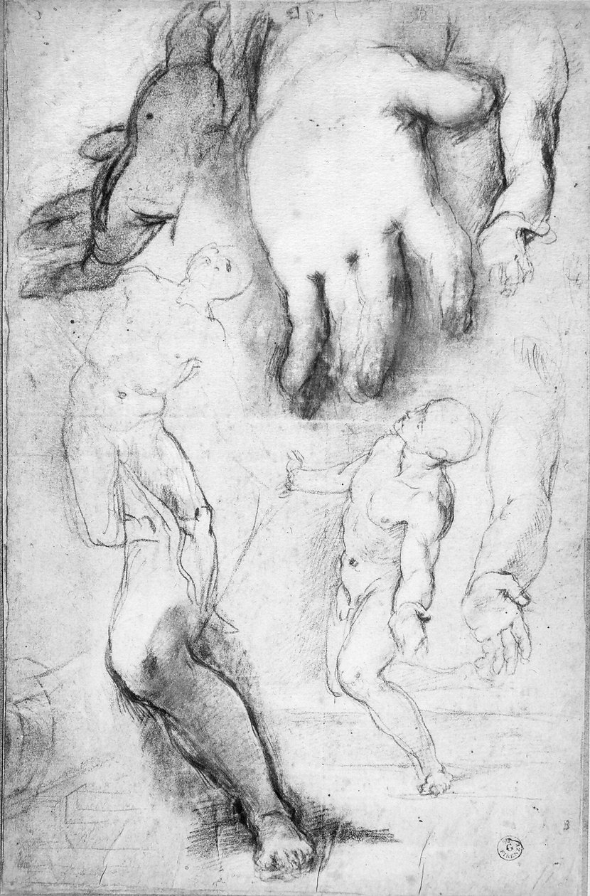 Studium do postaci św. Franciszka (kreda na papierze) autorstwa Federico Fiori Barocci or Baroccio