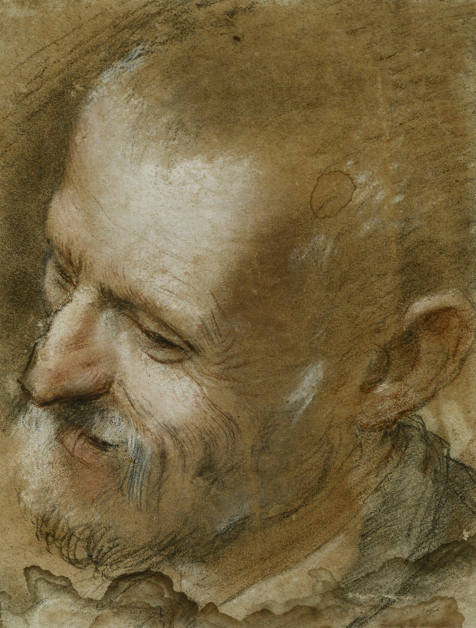 Studium głowy brodatego mężczyzny zwróconego w lewo, 1590 autorstwa Federico Fiori Barocci or Baroccio