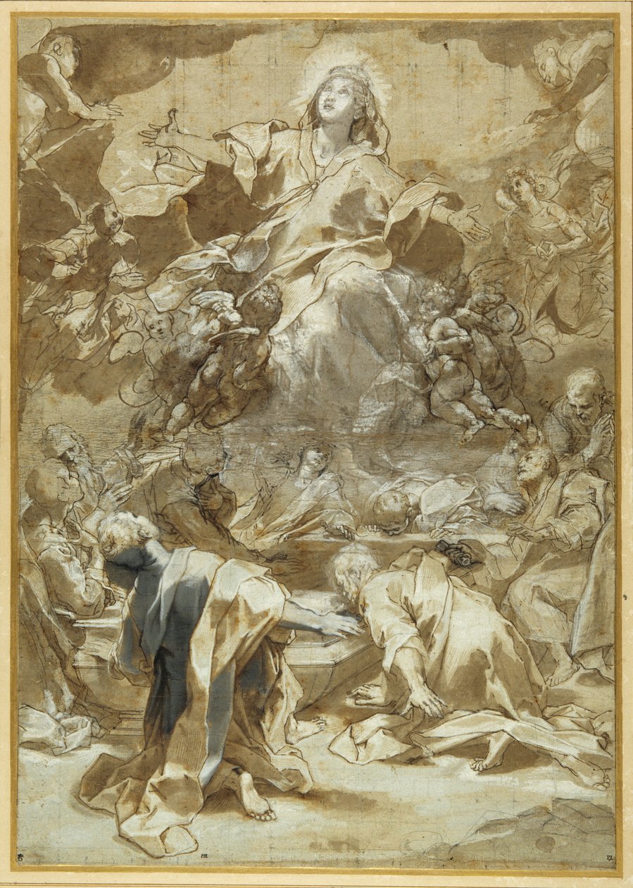 Wniebowzięcie NMP (pióro, brązowy tusz, brązowe i szare cienie) autorstwa Federico Fiori Barocci or Baroccio