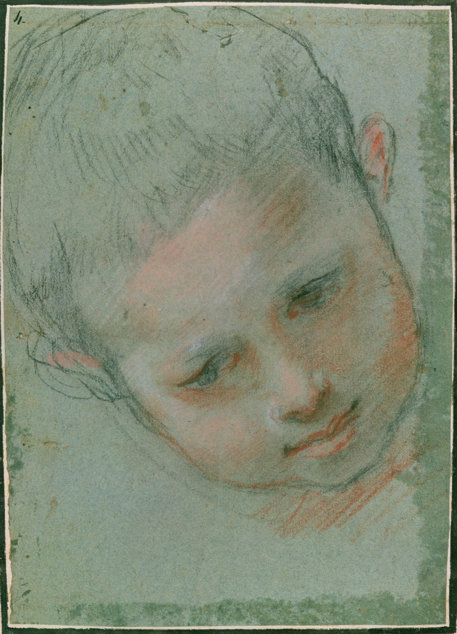 Głowa chłopca, ok. 1586-1589 czarna, czerwona, biała i stonowana kreda) autorstwa Federico Fiori Barocci or Baroccio