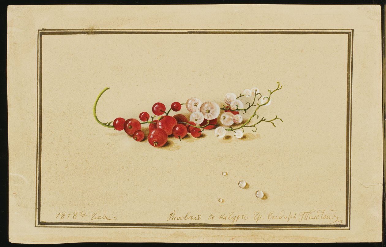 Czerwone i Białe Porzeczki, 1818 autorstwa Fedor Petrovich Tolstoy