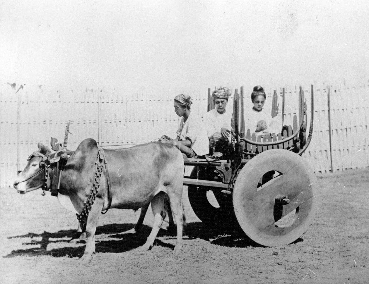 Powóz birmański, ok. 1870-80s autorstwa Felice Beato