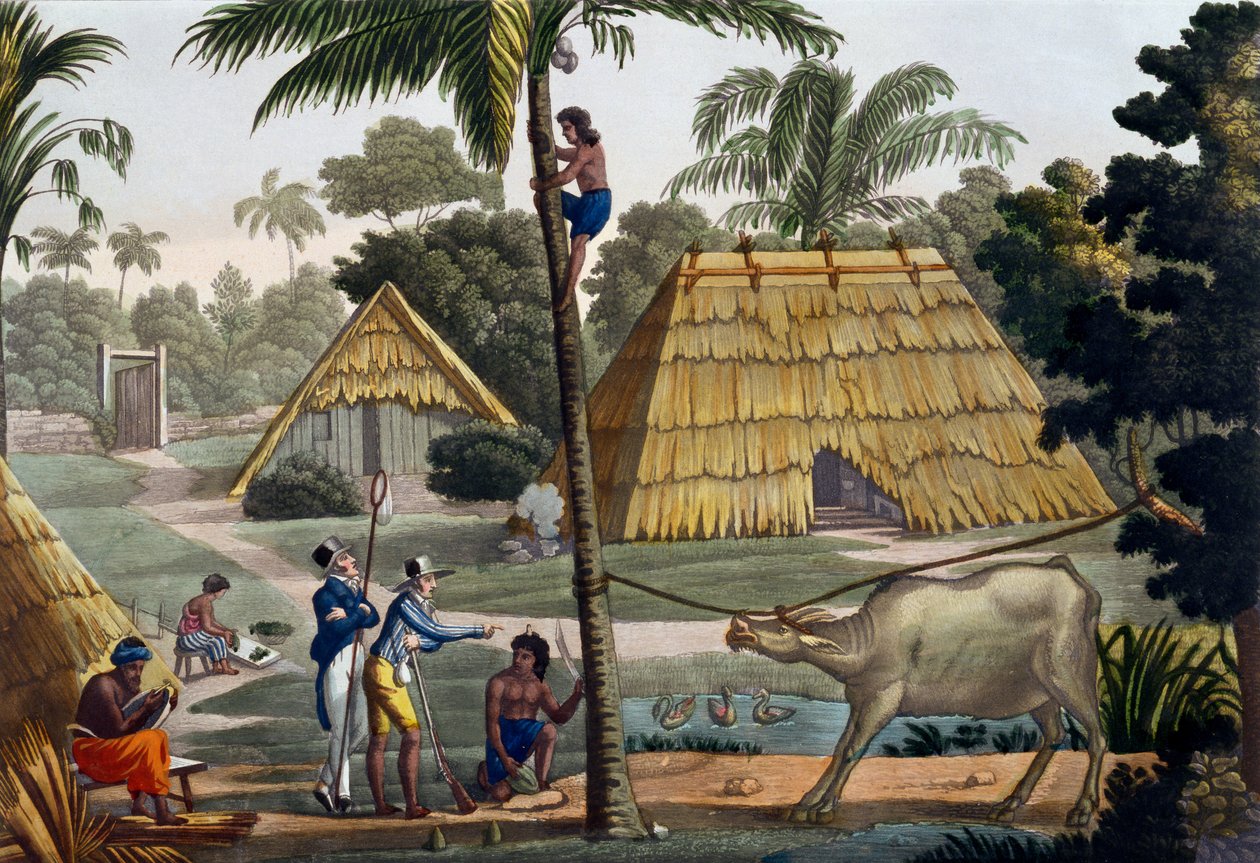 Przyrodnicy kwestionują tubylców w pobliżu Kupang, Timor, płyta 7 z „Le Costume Ancien et Moderne” Julesa Ferrario, opublikowanej ok. 1820-30 autorstwa Felice Campi
