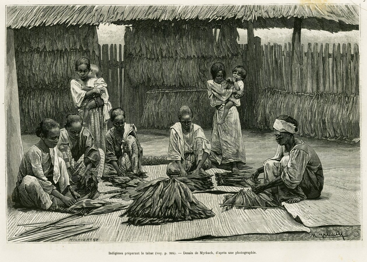 Rdzenni mieszkańcy wytwarzający tytoń. Grawerowanie autorstwa Myrbacha ilustrujące historię Lucon i Palaouan, sześć lat na Filipinach, Alfreda Marche (1844-1898), in le tour du monde 1886, w reżyserii Edouarda Chartona (1807-1890), Hachette, Paryż. autorstwa Felicien baron de Myrbach Rheinfeld