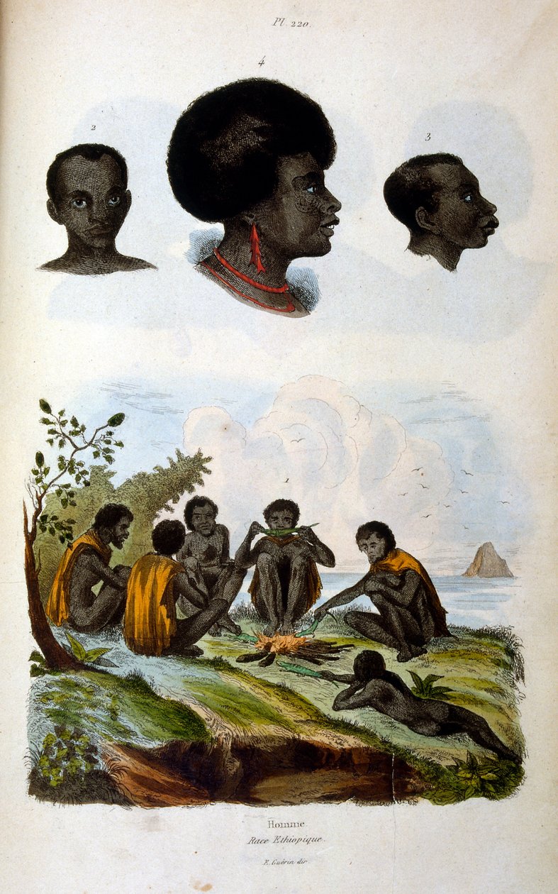 Ilustracja antropologiczna przedstawiająca rasę etiopską autorstwa Felix-Edouard Guerin
