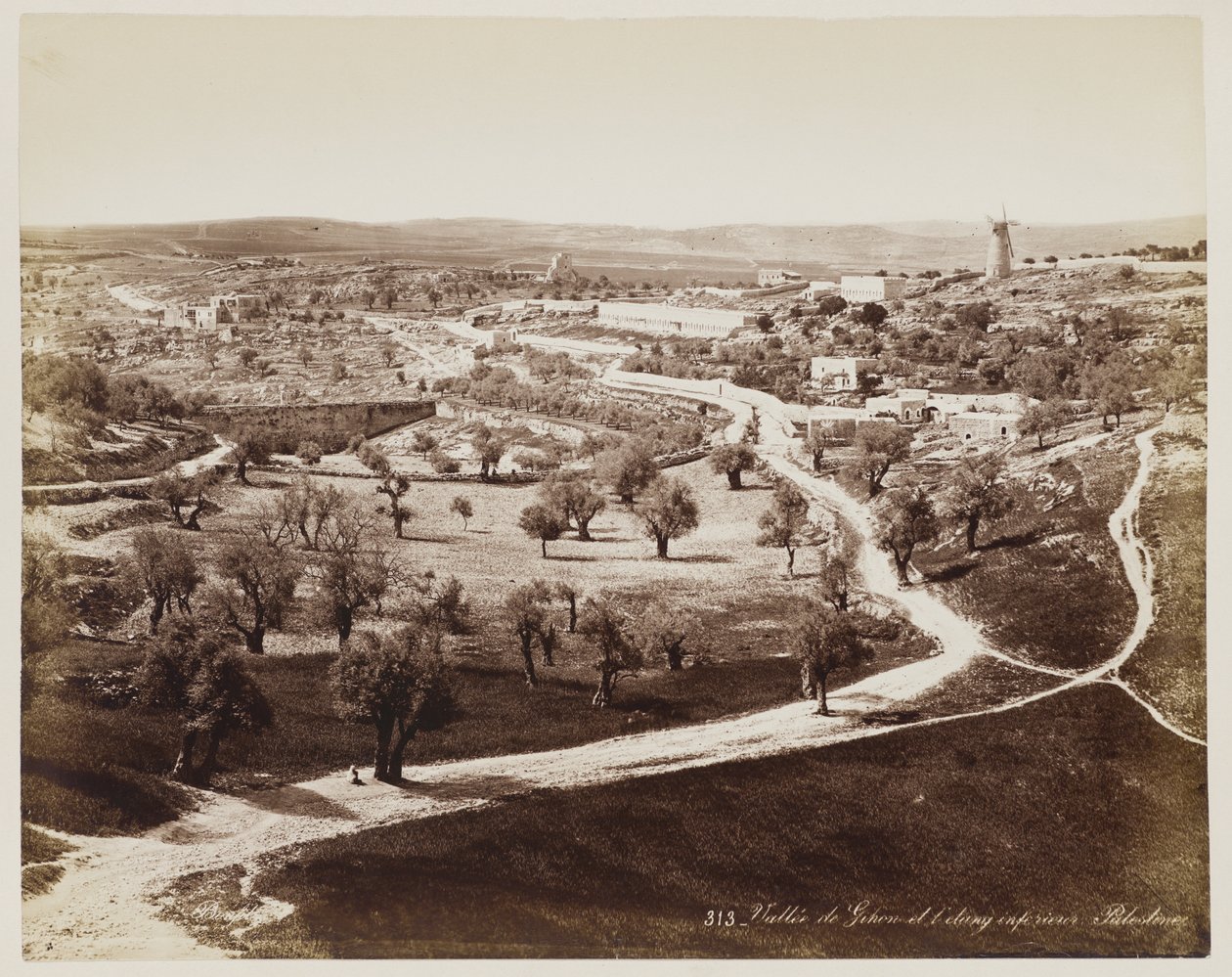 Valle De ... Palestyna #313 autorstwa Félix Bonfils
