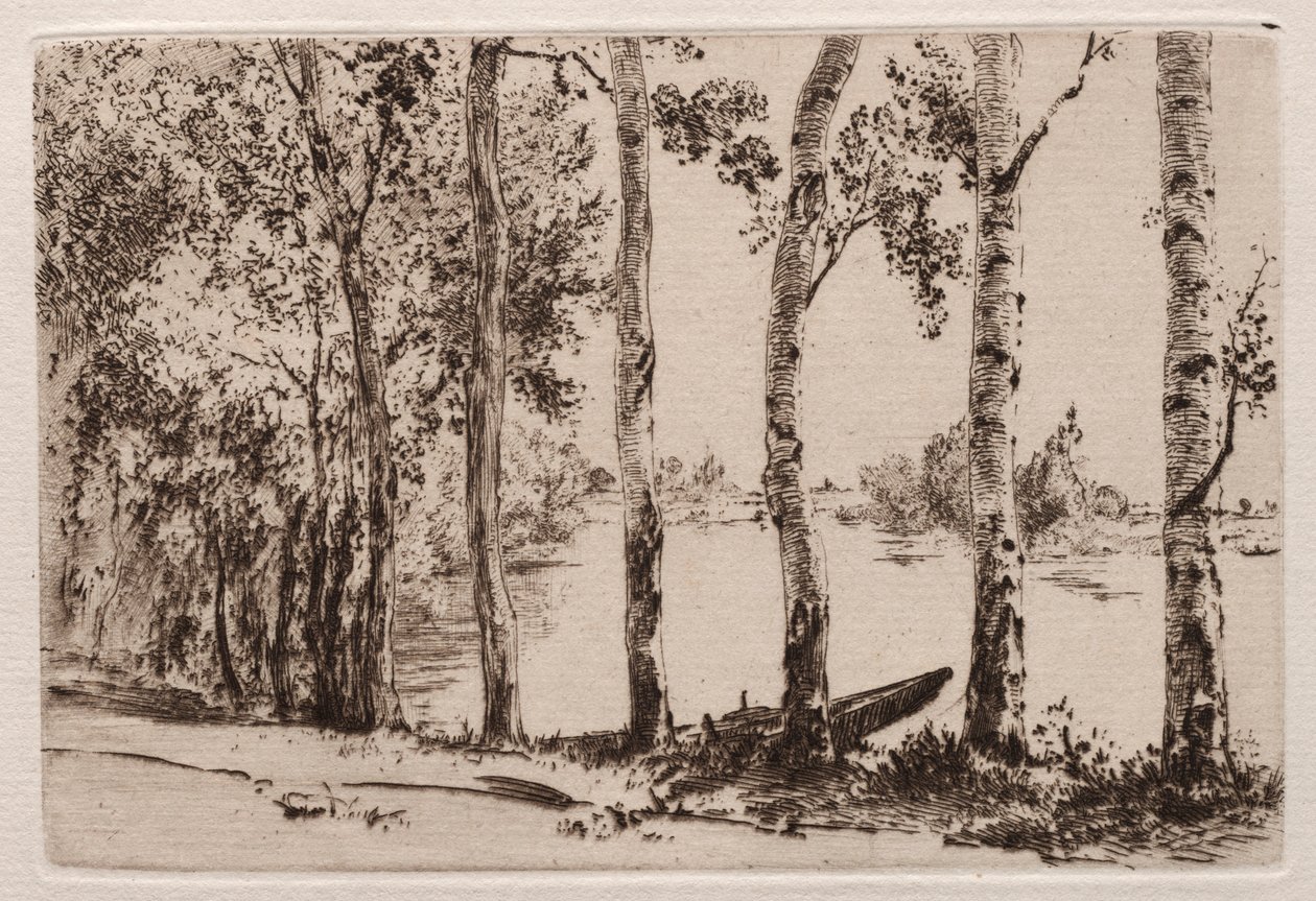 Aspens na brzegu Sekwany. autorstwa Felix Bracquemond