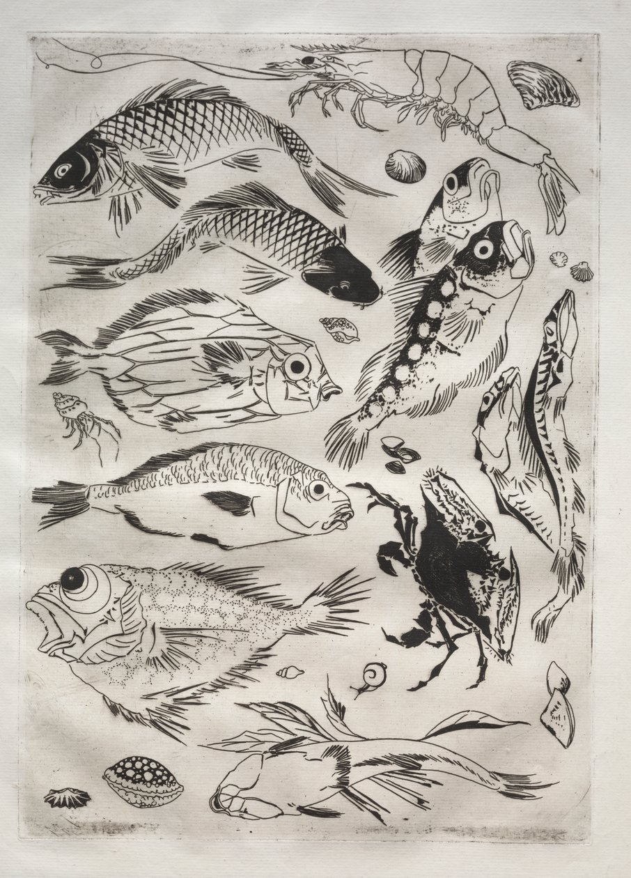 Serwis obiadowy (usługa Rousseau): Ryba (nr 24) autorstwa Felix Bracquemond