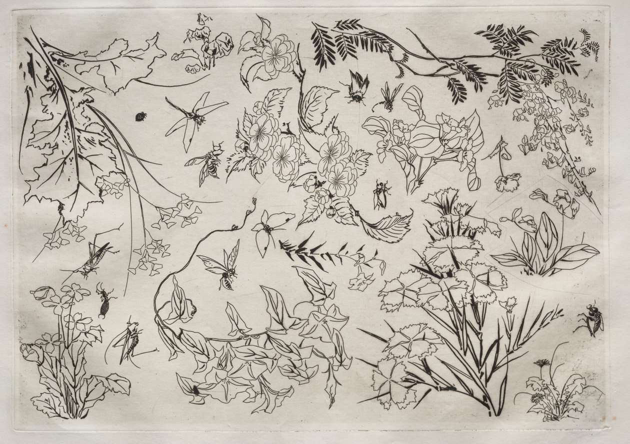 Serwis obiadowy (usługa Rousseau): Kwiaty (nr 22) autorstwa Felix Bracquemond