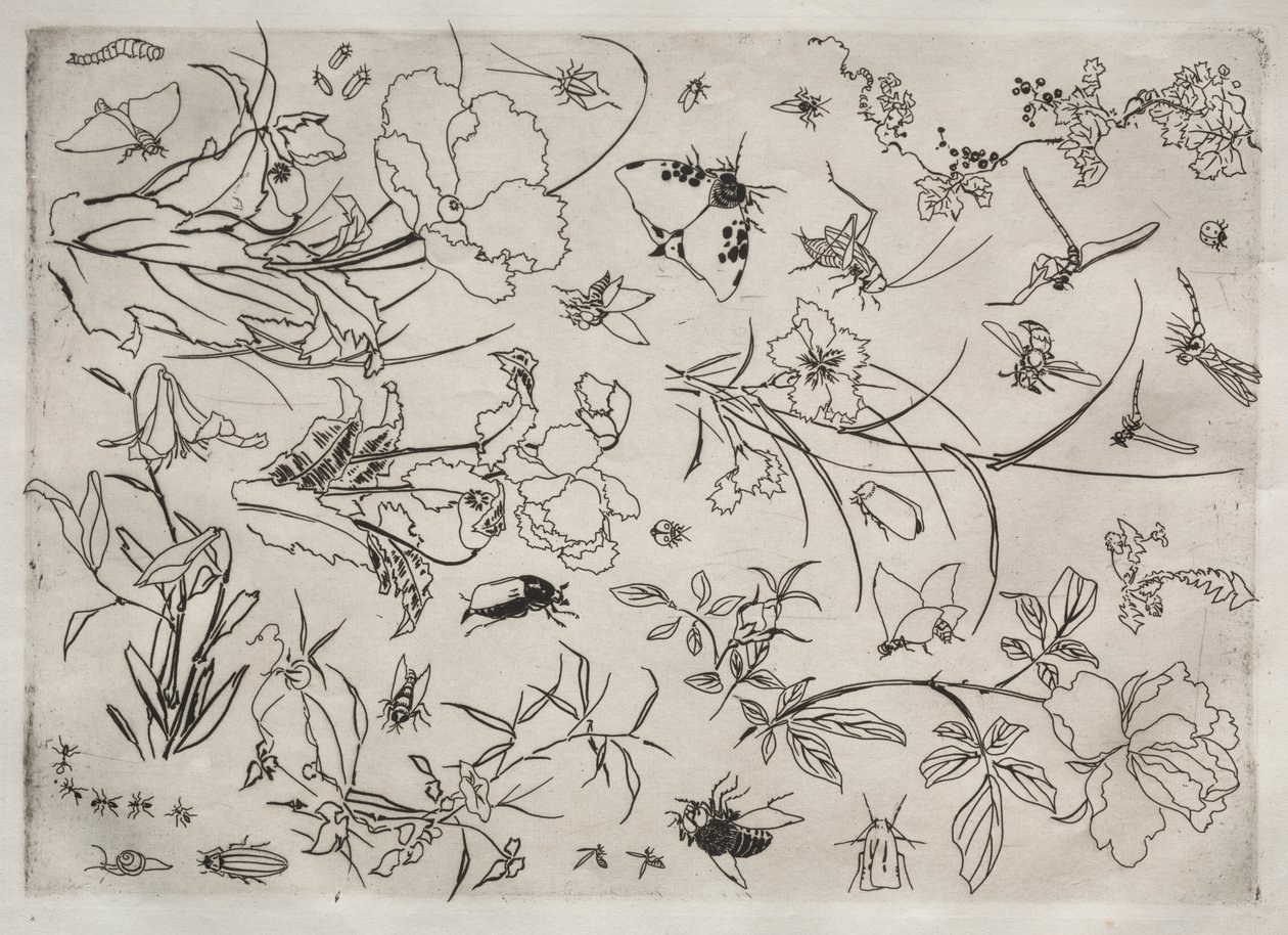 Serwis obiadowy (usługa Rousseau): Kwiaty i owady (nr 15) autorstwa Felix Bracquemond