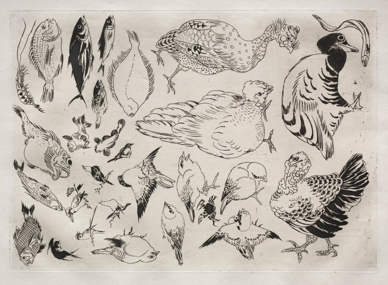 Serwis obiadowy Serwis Rousseau: Kaczki, ryby itp. nr. 12, 1866. autorstwa Felix Bracquemond