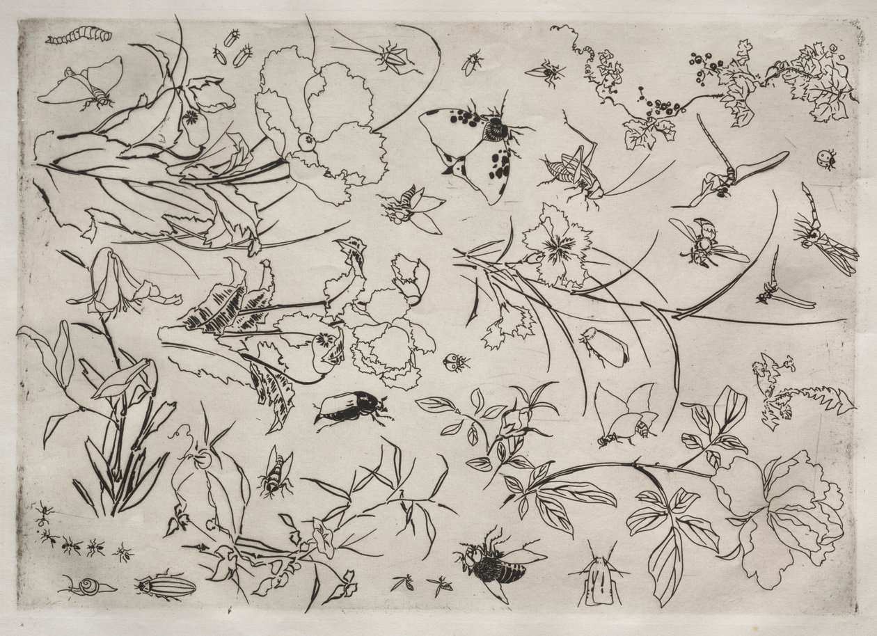 Serwis obiadowy Serwis Rousseau: Kwiaty i Owady nr. 15, 1866. autorstwa Felix Bracquemond