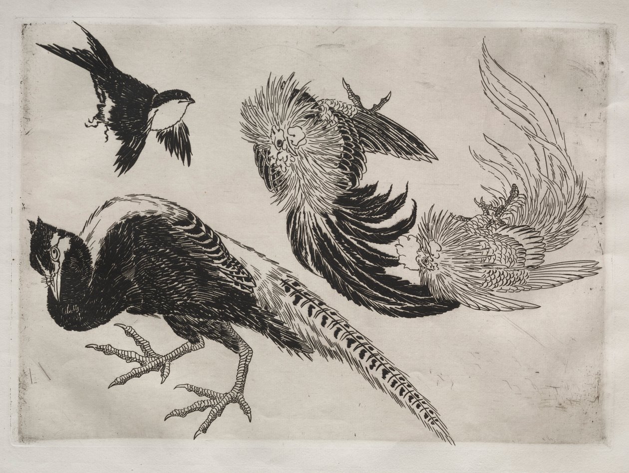 Serwis obiadowy Serwis Rousseau: Bażanty i ptaszek nr. 18, 1866. autorstwa Felix Bracquemond