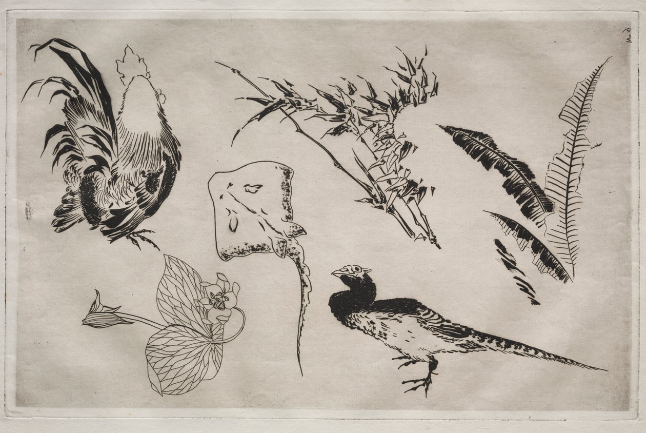 Serwis obiadowy Usługa Rousseau: Koguty, łyżwy, rośliny itp. nr. 9, 1866. autorstwa Felix Bracquemond