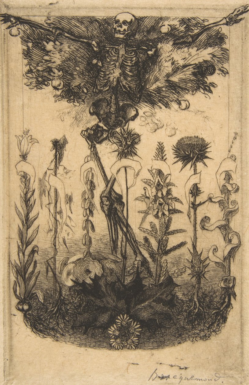 Frontyspis do Kwiatów zła, 1857. autorstwa Felix Bracquemond