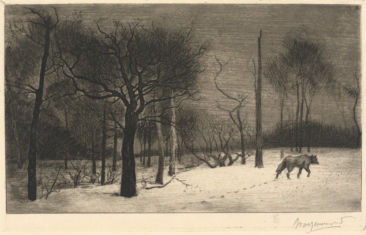 zima autorstwa Felix Bracquemond