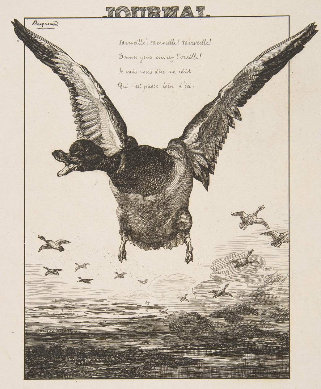 Kaczka, 1856. autorstwa Felix Bracquemond