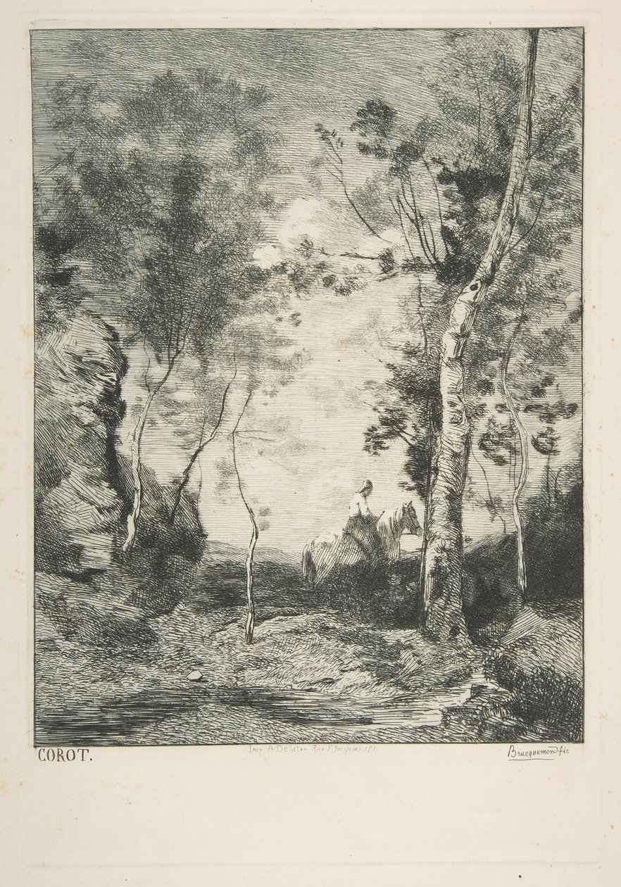 Biały koń, 1858. autorstwa Felix Bracquemond