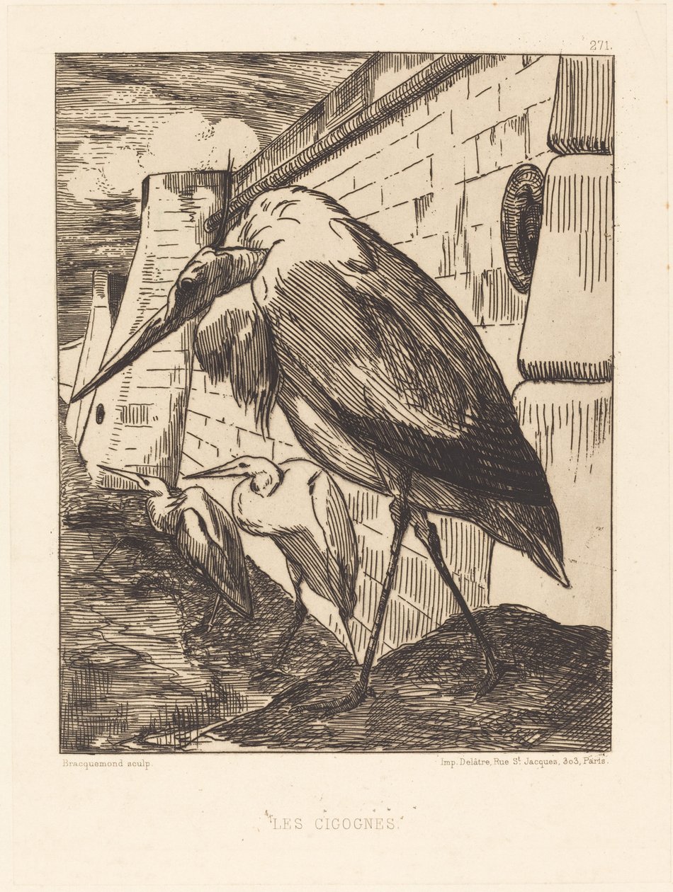 Les Cigognes (Bociany) autorstwa Felix Bracquemond