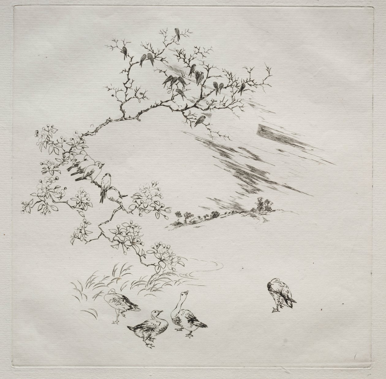 Serwis paryski (usługa Haviland): Noc (nr 7) autorstwa Felix Bracquemond