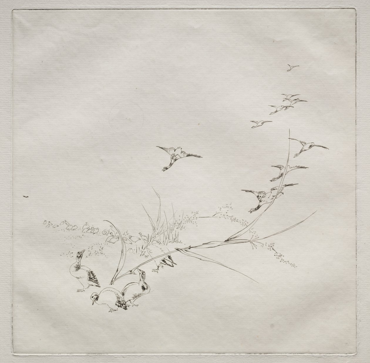 Serwis paryski (usługa Haviland): W słońcu (nr 9) autorstwa Felix Bracquemond