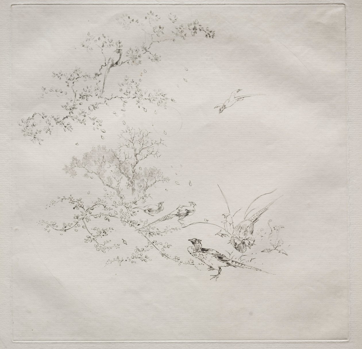 Serwis paryski Serwis Haviland: Mgła nr. 1, 1875. autorstwa Felix Bracquemond