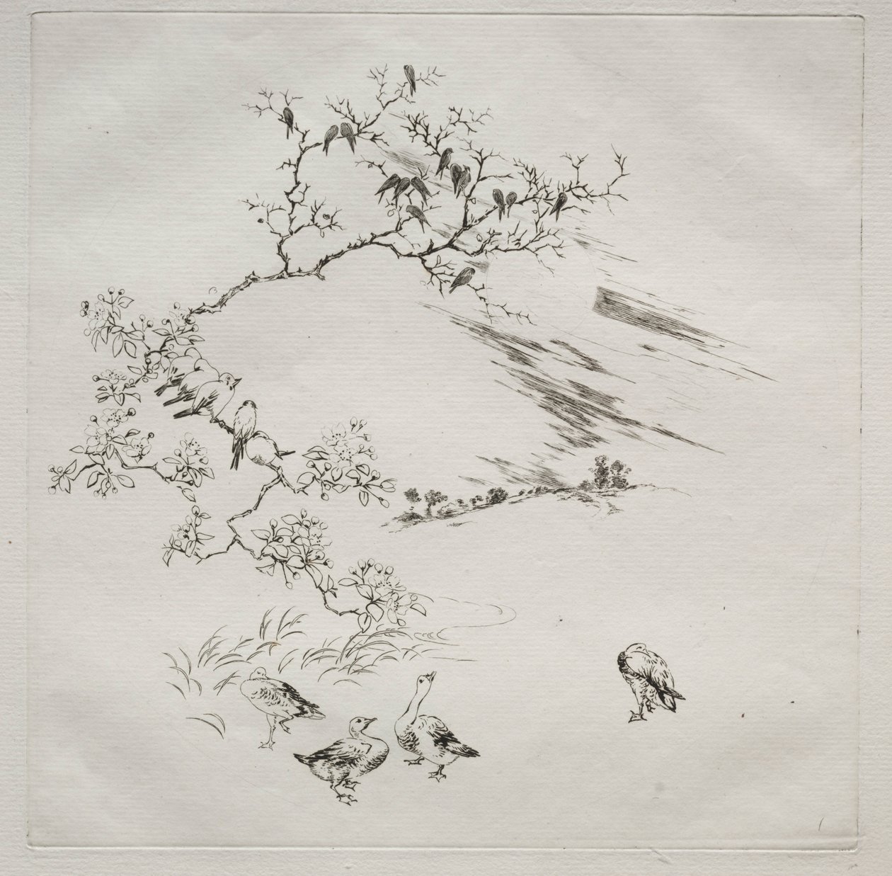 Serwis paryski Serwis Haviland: Noc nr. 7, 1875. autorstwa Felix Bracquemond