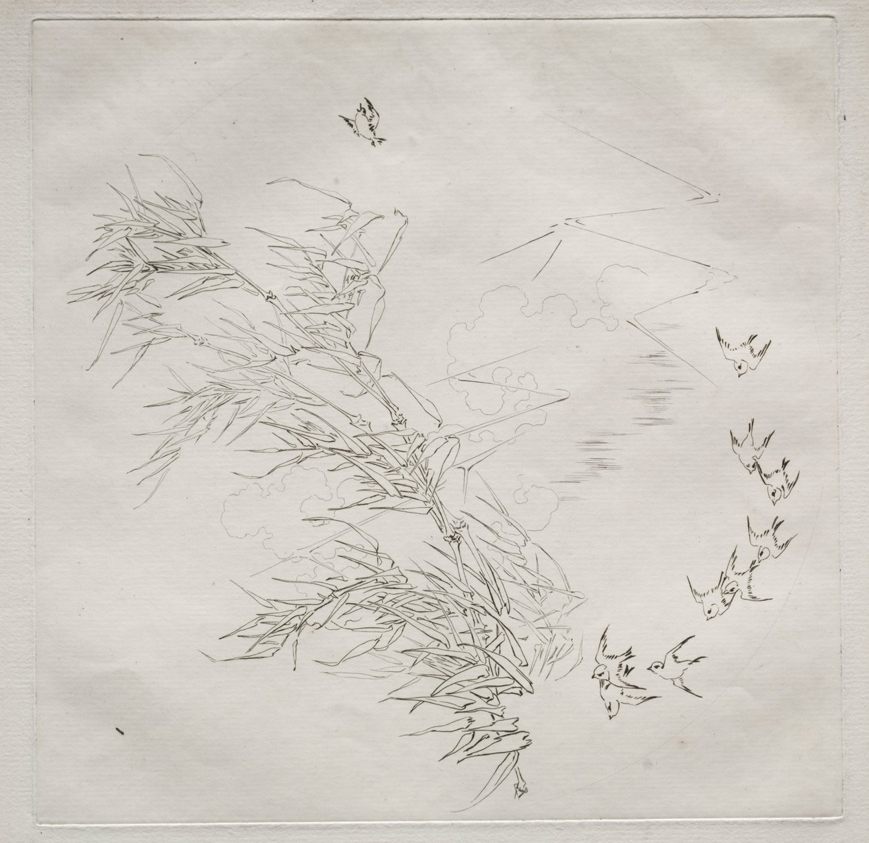 Serwis paryski Serwis Haviland: Burza nr. 8, 1875. autorstwa Felix Bracquemond