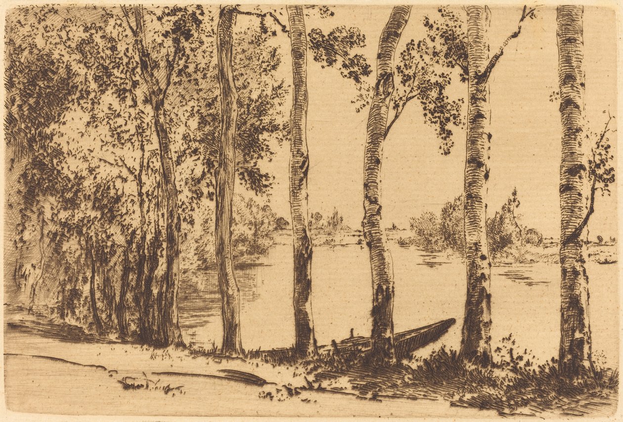 Topole wzdłuż Sekwany autorstwa Felix Bracquemond