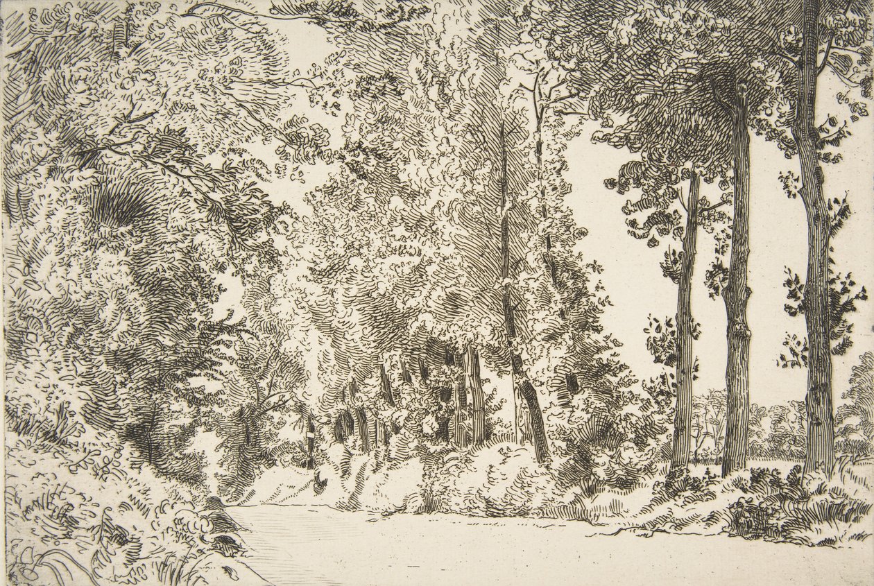 Rue des Bruyères, w Sèvres, 1868. autorstwa Felix Bracquemond