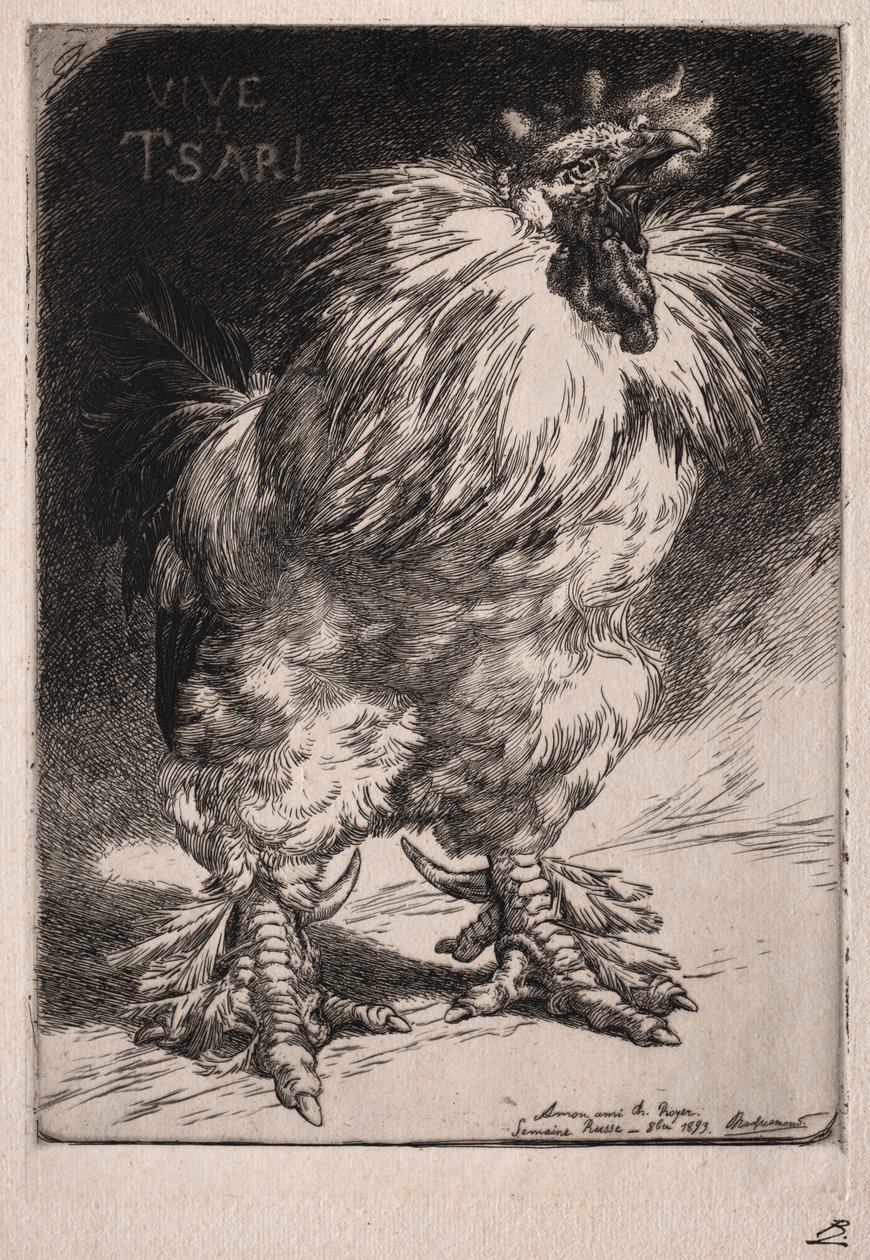 Francuski kogut autorstwa Felix Bracquemond