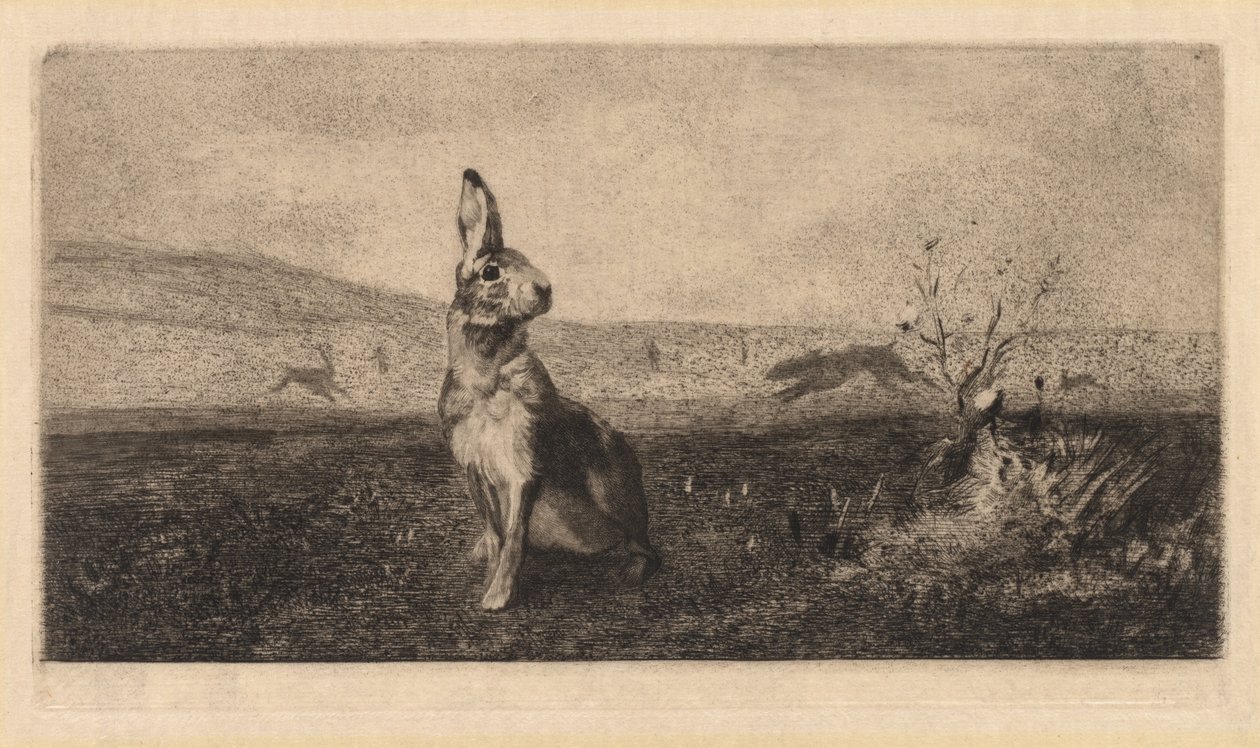 Zając Le Hare, 1865. autorstwa Felix Bracquemond