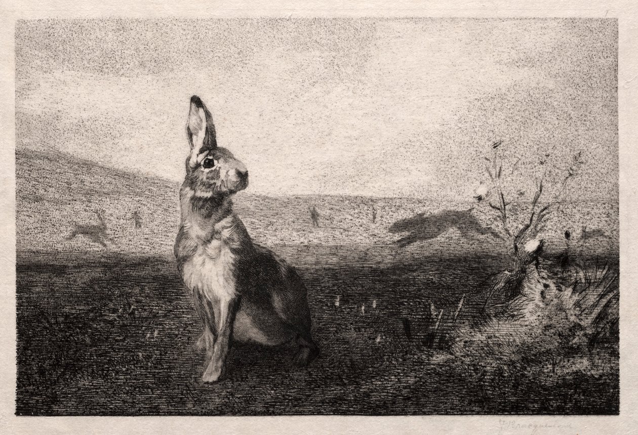 Zając według A. de Balleroy, 1865. autorstwa Felix Bracquemond
